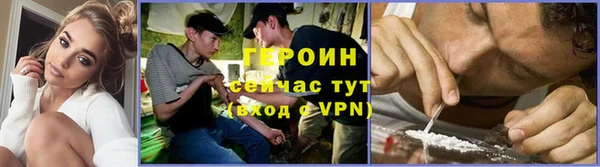 гашик Алексин