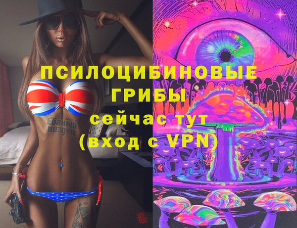 бошки Алзамай