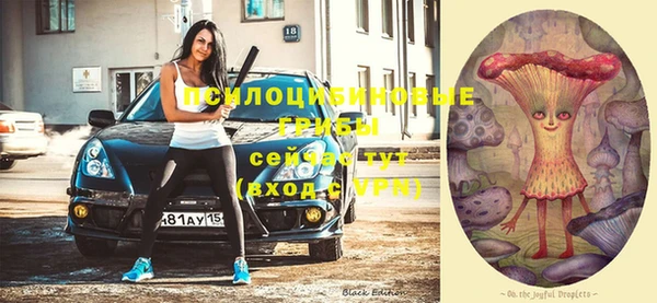 гашик Алексин