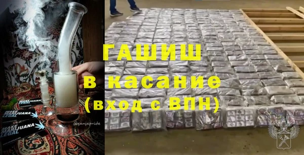 гашик Алексин