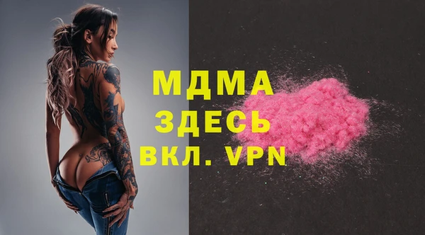 гашик Алексин
