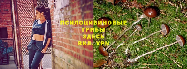 бошки Алзамай