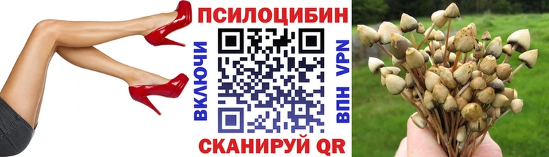 даркнет сайт  Брюховецкая  Псилоцибиновые грибы Cubensis 